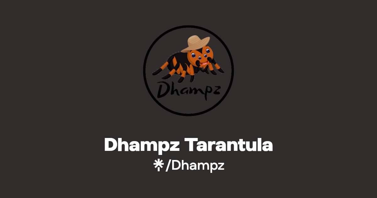Dhampz Tarantula: Jadi Pilihan Utama untuk Kebutuhan Harian di Cilacap